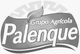 grupo palenque