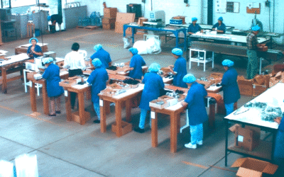 Fragamex a través de los tiempos